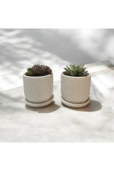NO NAME 2’li Sukulent Ve Kaktüs Saksısı