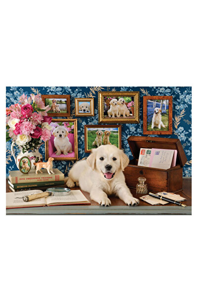 Anatolian Puzzle 500 Pieces Labrador 3637