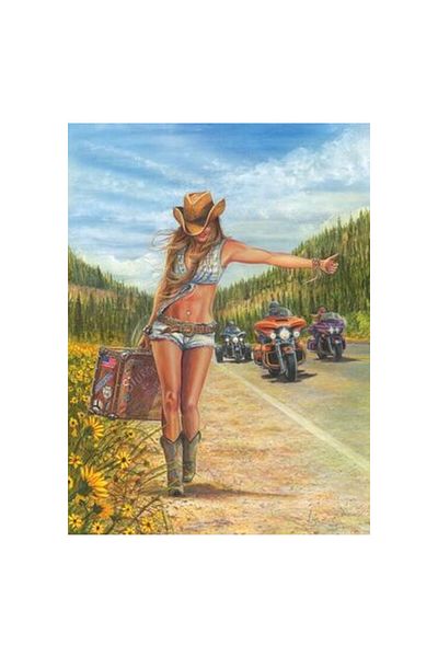 Anatolian Puzzle 1000 Pieces Hitchhiker 1124