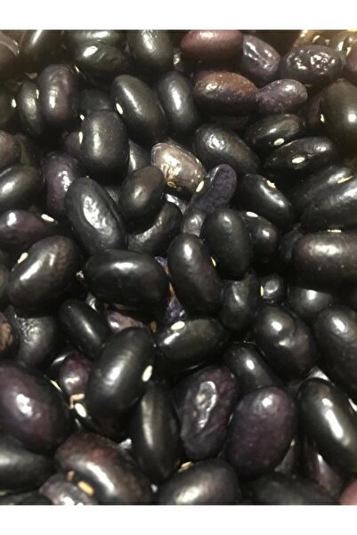 Karahasanoğlu Tarım YERLİ BEYAZ TURŞULUK UZUN-ENLİ SIRIK FASULYE TOHUMU 500 G...