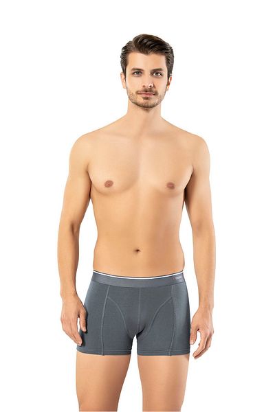 ERDEM İÇ GİYİM Erdem Smoked Cotton Elastane Classic Boxer 1445