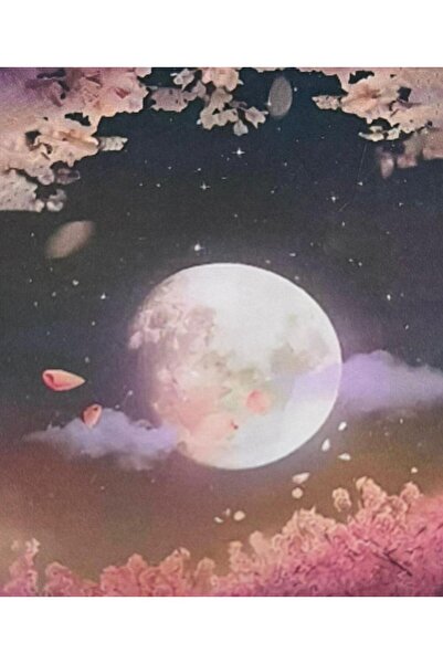 OZN AKSESUAR Hı Stone 5d Elmas Boncuk Taş Işleme Mozaik Goblen Kit 50x40cm gc...