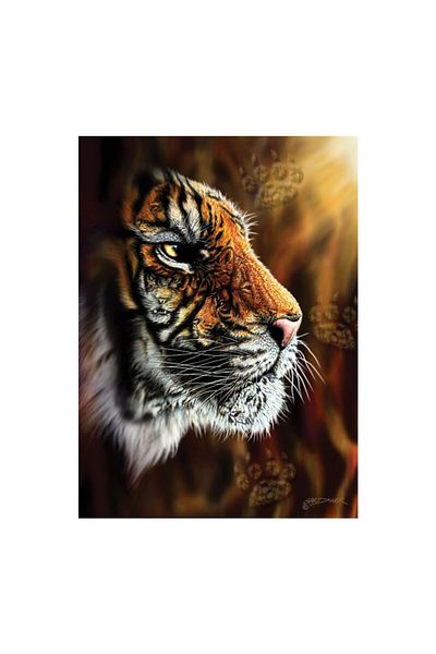 Anatolian Puzzle 1000 Pieces Wild Tiger 1097