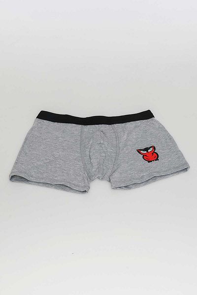 redowl Ανδρικό πακέτο Boxer Advantage 10 τεμαχίων
