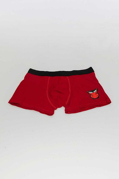 redowl Men's 4-Piece Boxer Advantageous Pack