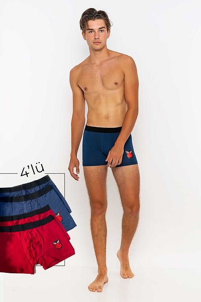 redowl Men's 4-Piece Boxer Advantageous Pack