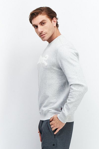 Le tigre Men Crew Neck Long Sleeve Brand Logo Sweatshirt, Grey