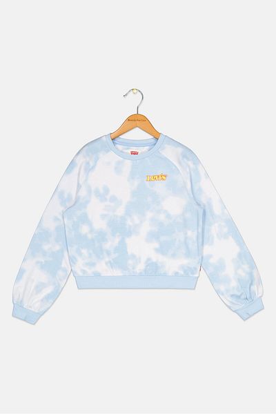 Levi's Kids Boy Crew Neck Long Embroidered Logo Sweatshirt, Blue