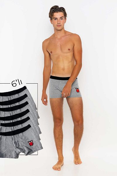 redowl Men's 6-Piece Boxer Advantageous Pack