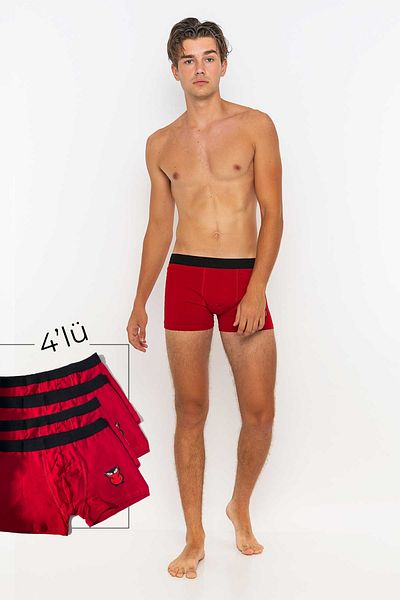 redowl Men's 4-Piece Boxer Advantageous Pack