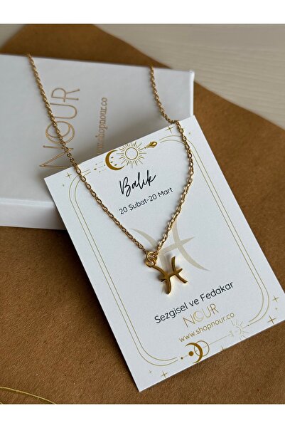 Nour Co Balık Burcu Özel Kartlı Çelik Kolye