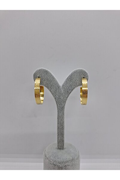 stainles steel ÇELİK CARTİER HALKA KÜPE 3 CM