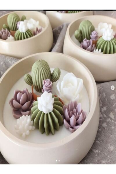 magnocandles Hediyelik teraryum kasede doğal mum SAKSI TABAKTA DEKORATİF KAKT...