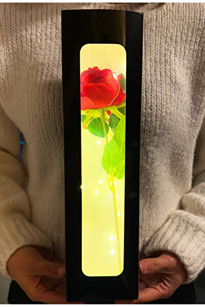 lenostra Ledli Kutuda Kırmızı Kadife Gül Sevgiliye Arkadaşa Kardeşe Anneye Ab...