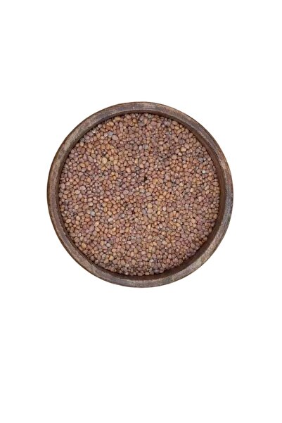 Kırmızı Turp Tohumu 250 Gr (ilaçsız, Katkısız)