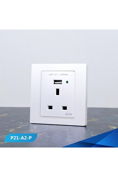 Btm 13 amp socket and USB port, pearl gold
