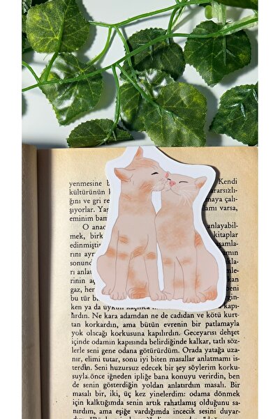 Handeto Kraft علامة كتاب مغناطيسية للقطط، مطلية بالبلاستيك، هيكل لامع وصعب، ص...