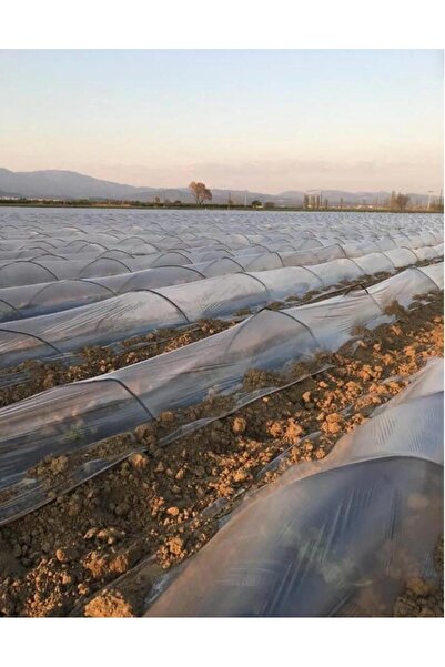 Procover Malç Naylonu Şeffaf 1000 Metre , 120 Cm , Mini Tünel Sera ,don Kırağı Örtüsü