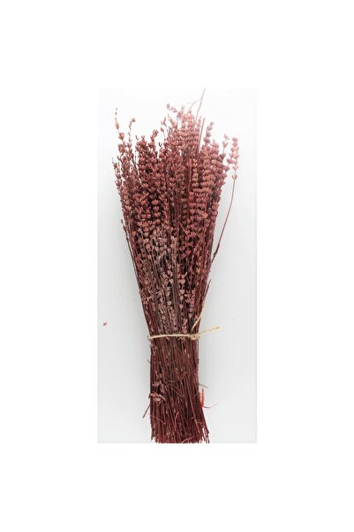 Mimoza Şoklanmış Lavanta Buketi Demeti 40-50 cm Kırmızı