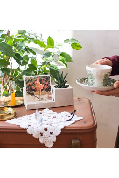 MF Botanik Kaktüs Sukulent Beton Resimlik Saksı Kartpostallık Saksı Kiremit Renk