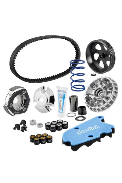 Vespa Primavera-sprint 150cc Varyatör Kiti (2014- ) / Polını