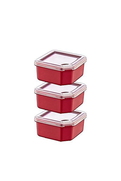 Smartware Q-Box Storage Container Set of 3 (3 X 350 ml)