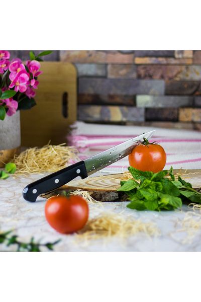 HIC Japanese kitchen knife 6 inch - 27CM