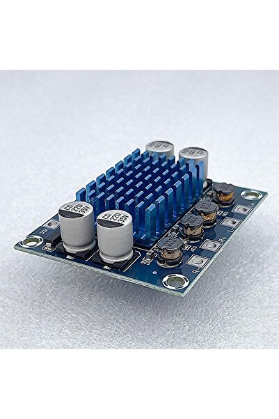 Diyotlab 2x30 Watt TPA3110 Çipli 8-26v Dijital Anfi
