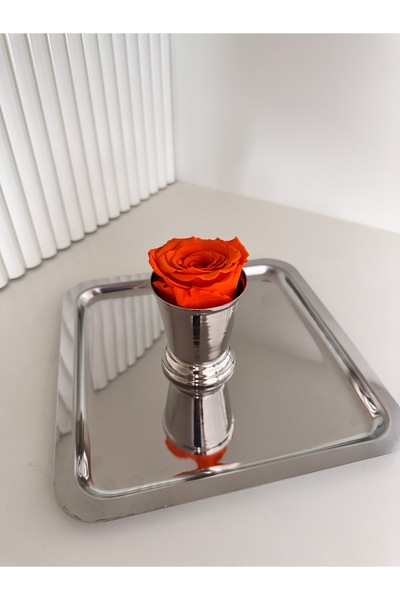 dekorasyon garajı Non-Fading Rose, Steel Tray, Rose Bucket (Orange)