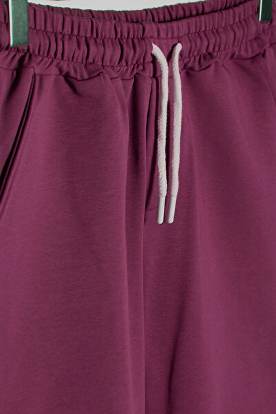 ADEGO Men's Plum Basic Regular Fit Shorts & Bermudas