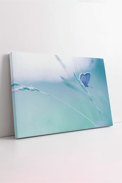 KOSS Dijital Floare de vară și fluture albastru, primăvară, peisaj natural, p...