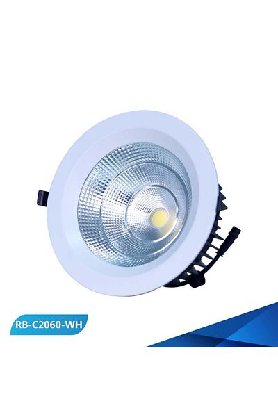 REEBOON 20cm 60W Solar Buried Ribbon Spotlight