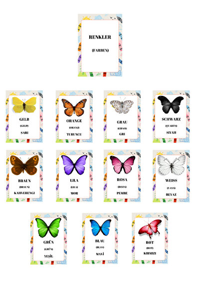 Baby Almanca Renkler Eğitim Seti Flash Kartları