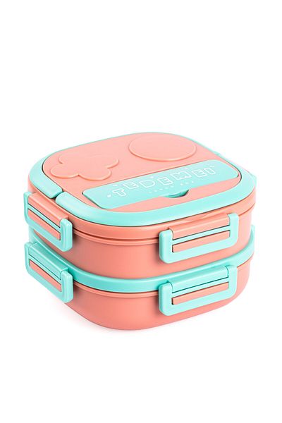 Tantitoni Pink Green Tedemei Steel Food Container - Stainless, Two Compartments, 1.05L