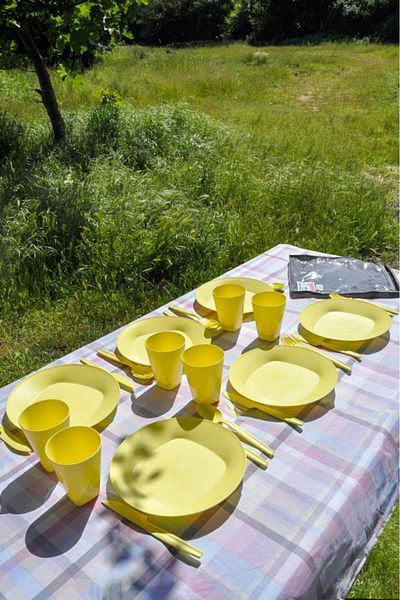 Saban Picnic Set with Bag Yellow 30 Pieces