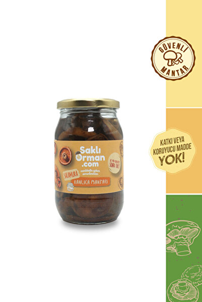 Saklı Orman Doğal Salamura Kanlıca Mantarı 200 gr