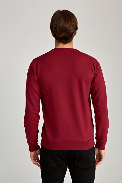 WERRONİ Men's Slim Fit Two Thread Fabric Ashes to Dust Ba Printed Zun Sleeve Burgundy Color T-Shirt