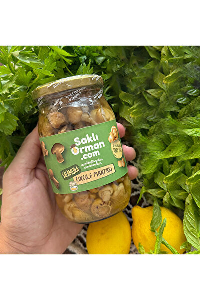 Saklı Orman Doğal Salamura Cincile Mantarı 200 gr