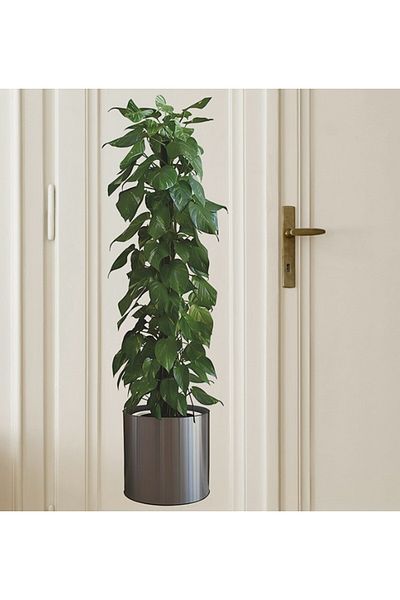 CMT Set of 8 Flower Pattern Stickers with Pots - Mc-480A
