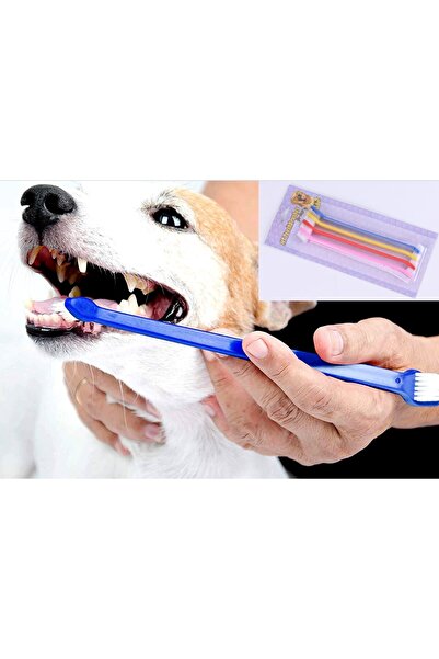 Hombak Double Sided Animal Toothbrush Set of 4