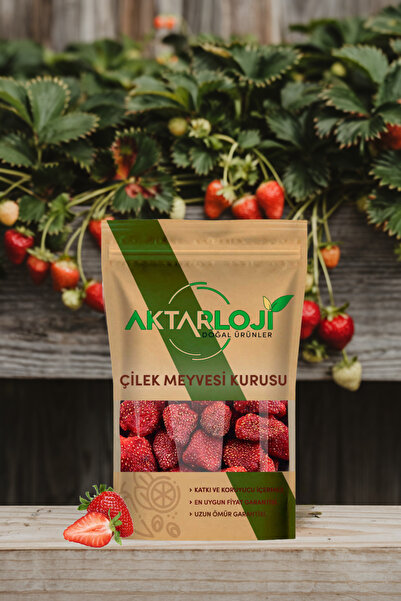 aktarloji 500g Strawberry Fruit Dried