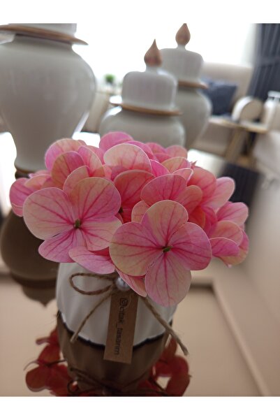 Çıtak Islak ortanca minik saksılı çiçek