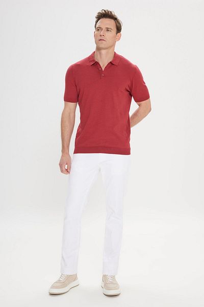 AC&Co / Altınyıldız Classics Ανδρικό μπλουζάκι Claret Red Polo με σχέδιο - 100% βαμβάκι, κανονική εφαρμογή