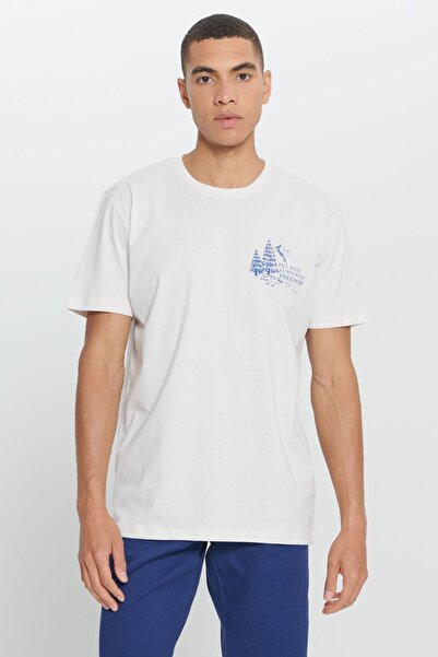 AC&Co / Altınyıldız Classics Men's Light Gray Standard Fit Regular Fit 100% Cotton Crew Neck T-Shirt