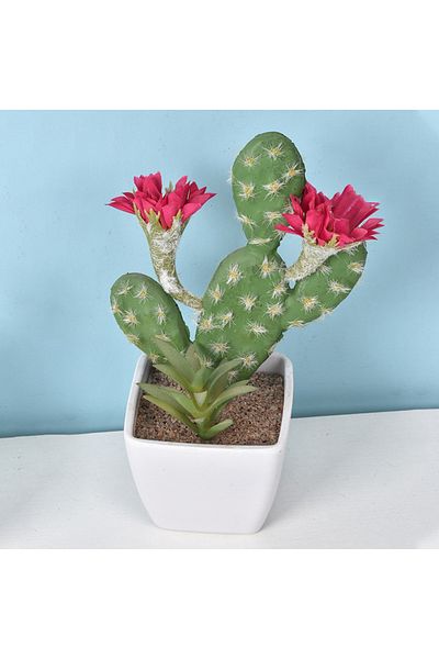 Choice 3 Simulated Cactus Small Plant Micro Landscape Desktop Decorative Resin Crafts Garden Ornament Cart.