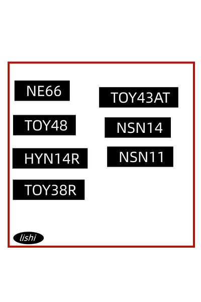 IWOWKEY Toy48 Lishi 2 In 1 2in1 Ne66 Toy48 Hyn14r Toy38r Nsn11 Nsn14 Toy43at
