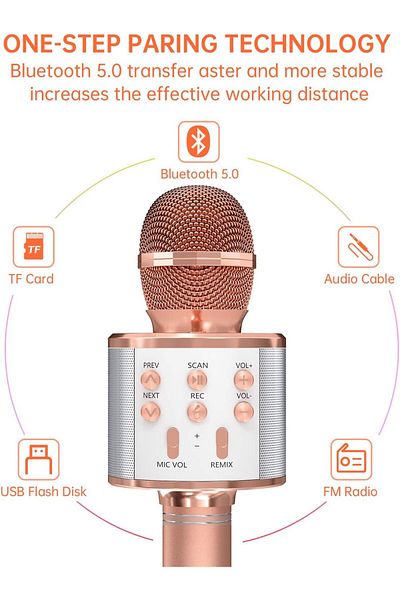 AWH 2-Pack Karaoke Microphone Wireless Bluetooth Handheld Mic & Speaker – Assorted Colors