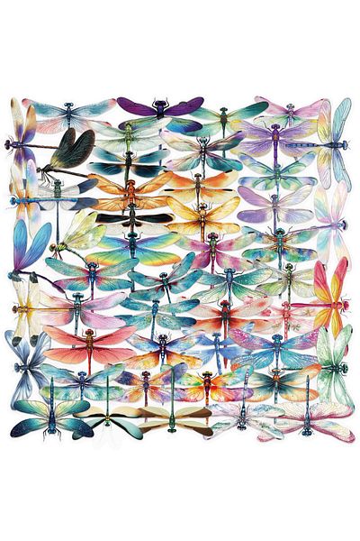 Choice 50pcs All 50pcs Dragonfly Waterproof Doodle Stickers Colorful Decorations For Car Laptop Phone Lugga