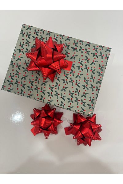 HUR-AY PACK 5 Pcs Red Matte Metallized Polar Star Ornament / Gift Package Ornament / Large Size Ornament! ! !