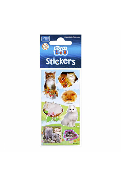 Floopy Stickere pisicute, abtibilduri pentru proiecte creative pentru copii